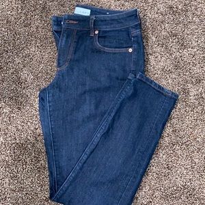 The Loft Curvy Skinny